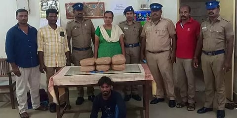 6 நாட்களில் 37.5 கிலோ கஞ்சா பறிமுதல்: சென்ட்ரல் ரயில் நிலையத்தை சுற்றிவளைக்கும் காவல்துறை