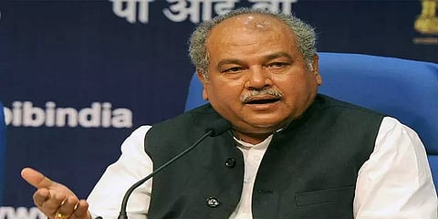 இயற்கை வேளாண்மை: தமிழ்நாட்டுக்கு கடந்த நிதியாண்டில் 31 லட்சம் ரூபாய் விடுவிப்பு