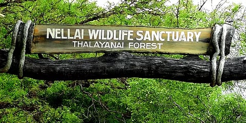 அடிப்படை வசதிகளுக்கு ஏங்கித் தவித்த பழங்குடி மக்கள் - நிறைவேற்றிக் கொடுத்த வனத்துறை