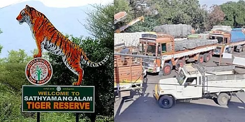 கனரக வாகனங்களுக்கு அனுமதியில்லை: சத்தியமங்கலம் புலிகள் சரணாலயசாலைக்கு புதிய கட்டுப்பாடுகள்