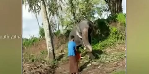 யானையிடமிருந்து துரிதமாக மகனை காப்பாற்றிய தந்தை