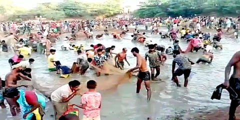 புதுக்கோட்டை: விராலிமலை அருகே மழை வேண்டி நடைபெற்ற பாரம்பரிய மீன்பிடித் திருவிழா