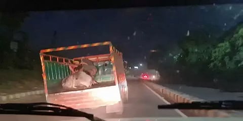 பசு மாடுகளை கடத்திச் சென்ற கும்பல் - துப்பாக்கி முனையில் சுற்றி வளைத்த ஹரியானா போலீஸ்