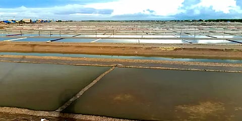 கனமழை எதிரொலி: வேதாரண்யம் பகுதியில் உப்பு உற்பத்தி பாதிப்பு