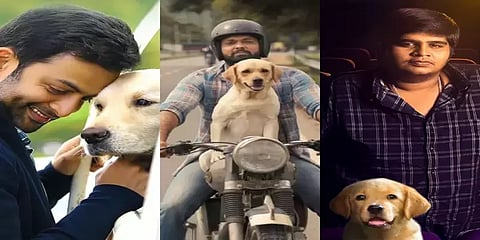 ரக்ஷித் ஷெட்டி, பாபி சிம்ஹாவின் ‘777 சார்லி’ ரிலீஸ் தேதி அறிவிப்பு