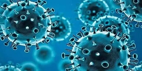 தென் ஆப்பிரிக்காவில் இரண்டு புதிய வகை ஒமைக்ரான் திரிபுகள் கண்டுபிடிப்பு!