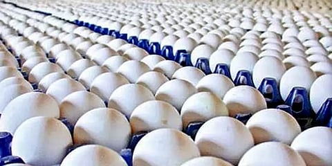 நாமக்கல்: முட்டை விற்பனை குறைவால் கொள்முதல் விலை 20 காசுகள் சரிவு