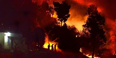 கடும் வெப்பத்தால் காட்டுத்தீ - உத்தராகண்டில் பல ஆயிரம் ஹெக்டேர் வனப்பகுதி நாசம்