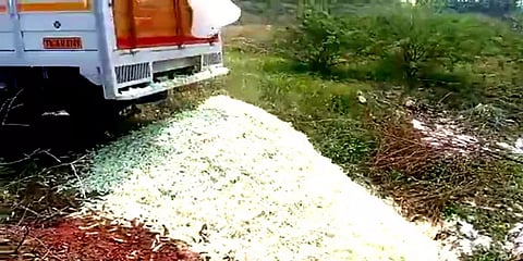 விளைச்சல் இருந்தும் விற்பனை இல்லை: சம்பங்கி பூக்களை குளத்தில் கொட்டும் அவலம்