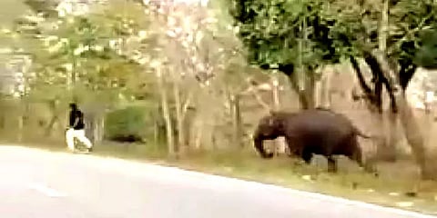 கர்நாடகா: சாலையில் இறங்கி புகைப்படம் எடுக்க முயன்ற பயணியை விரட்டிய காட்டுயானை