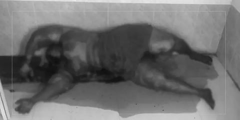 திருச்சி: அரசு மருத்துவமனையில் அழுகிய நிலையில் 3 நாட்களாக கிடந்த பெண்ணின் சடலம்