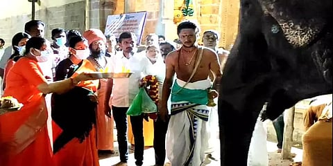 திருக்கடையூர் அமிர்தகடேஸ்வரர் ஆலயத்தில் சாமி தரிசனம் செய்த துர்கா ஸ்டாலின்