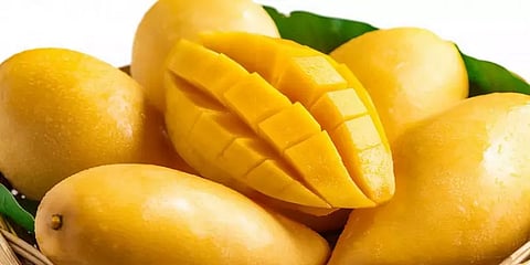 குறைந்தது 'மாம்பழம்' விளைச்சல்.. எகிறும் விலை - காலநிலை மாற்றம் காரணமா? - ஒரு தொகுப்பு