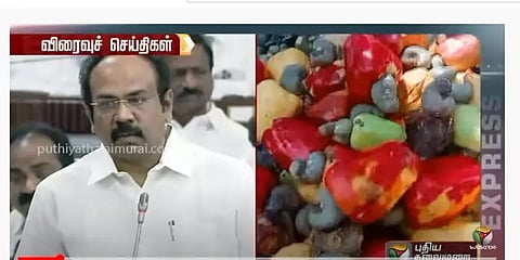 ’முந்திரி பழத்தில் இருந்து ஊட்டச்சத்து பானம்?’ - அமைச்சரின் பேச்சால் பேரவையில் சிரிப்பலை