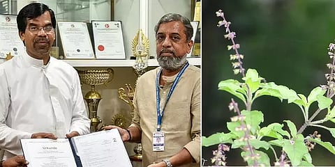 துளசியில் மார்பக புற்றுநோய்க்கான மருந்து... ஜெர்மனி காப்புரிமை பெற்ற திருச்சி ஆய்வுக்குழு