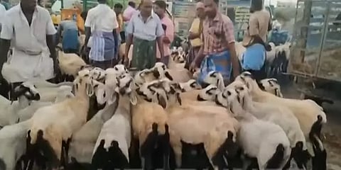 நெருங்கும் ரம்ஜான்: ஆட்டுச்சந்தைகளில் ரூ.18 கோடிக்கு மேல் அமோக விற்பனை!