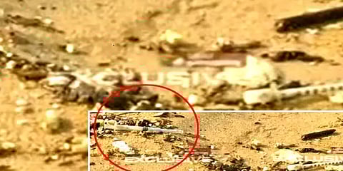 சட்ட விரோதமாக அடையாறு முகத்துவாரத்தில் கொட்டப்படும் மருத்துவக் கழிவுகள்