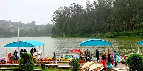 உதகையில் களைகட்டிய சீசன்; நீலகிரி மாவட்டத்தில் சுற்றுலாப் பயணிகள் கூட்டம்