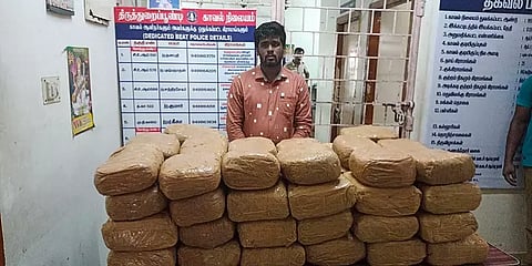 திருத்துறைப்பூண்டி அருகே 150 கிலோ கஞ்சா கடத்திய இளைஞர் கைது