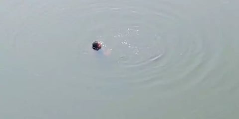 காவிரி ஆற்றுப்பாலத்திலிருந்து குதித்து பெண் தற்கொலை முயற்சி - குடும்ப பிரச்னை காரணமா?