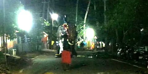 கோயில் திருவிழாவிற்கு வந்து மிரண்ட யானை: கீழே இறங்க முடியாமல் தவித்த பாகன்