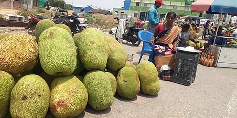 எளியோரின் வலிமை கதைகள் 29: சாலையோர பலா பழ விற்பனையாளர்களின் பரிதாப வாழ்க்கை!