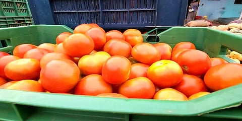 நெல்லை: 10 ரூபாயில் இருந்து 55 ரூபாயாக விலையுயர்ந்த தக்காளி.. காரணம் இதுதான்!