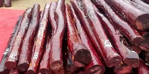 ஆந்திரா: ரூ.3 கோடி மதிப்பிலான முதல்தர செம்மரக்கட்டைகள் கடத்தல் - தமிழர்கள் 7 பேர் கைது