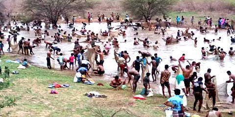 20 வருடங்களுக்குப் பிறகு மணப்பாறையில் நடைபெற்ற மீன்பிடித் திருவிழா