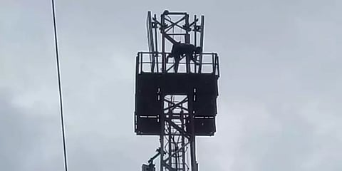 நில விற்பனையில் ஏமாந்த பேருந்து ஓட்டுநர் - விரக்தியில் செல்போன் கோபுரத்தில் ஏறி போராட்டம்