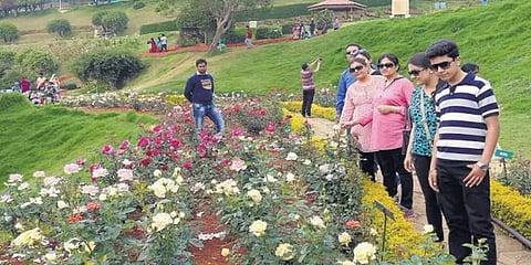 உதகை ரோஜா பூங்காவில் நாளை மலர் கண்காட்சி