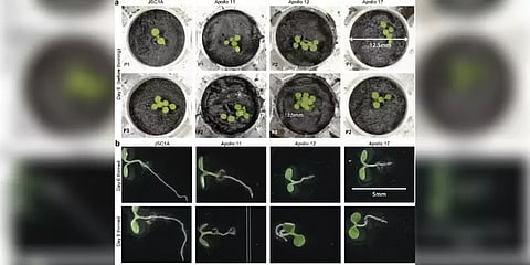 ”இனி நிலவில் விவசாயம் செய்யலாம்” - நிலவின் மண்ணில் தாவரங்களை வளர்த்து விஞ்ஞானிகள் சாதனை!