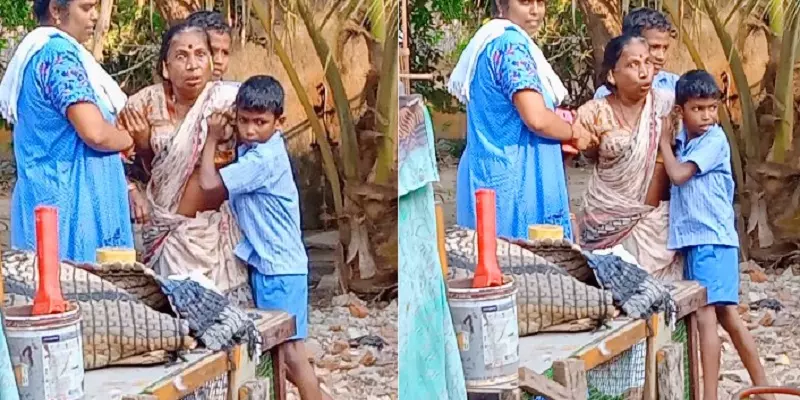 ’’ஏன் என் வீட்டுக்குள் வந்தாய்?’’- வீட்டுக்குள் வந்த பாம்பிடம் சாமியாடி கேள்வி கேட்ட பெண்!