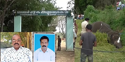 யானை உயிரிழந்த விவகாரத்தில் விவசாயி கைது; மூவர் அதிரடி பணியிடை நீக்கம்