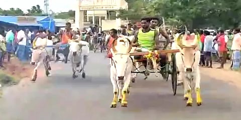 ஒட்டப்பிடாரம்: எல்லையை நோக்கி சீறிப் பாய்ந்து பரிசுகளை தட்டித் தூக்கிய காளைகள்