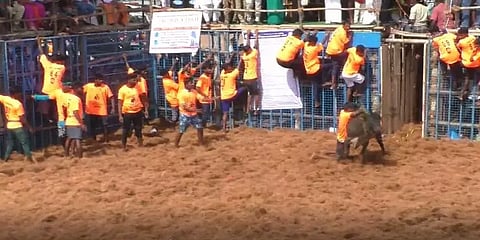 பொதுமக்களால் நடத்தப்பட்ட சமத்துவ ஜல்லிக்கட்டு - காளைகளை அடக்கி பரிசுகளை அள்ளிய வீரர்கள்