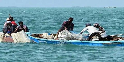 மத்தி மீன்கள் விலை உயர்வு - போதிய மீன்கள் கிடைக்காததால் மீனவர்கள் ஏமாற்றம்
