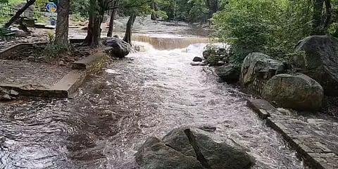 தண்ணீர்வரத்து அதிகரிப்பு - களக்காடு தலையணையில் குளிக்கத் தடை!