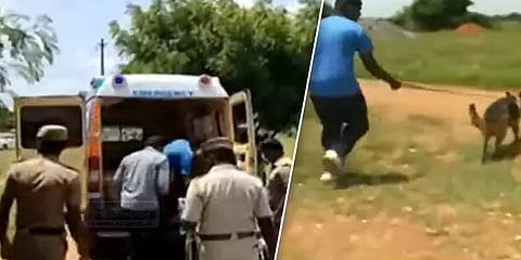 திருப்பூர்: இரு குழந்தைகளுடன் தாயும் அடித்துக்கொலை; கொலையாளியை தேடும் போலீஸ்