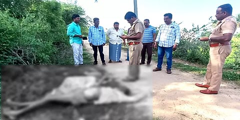 அரக்கோணம்: கணவன் மனைவி அடித்துக் கொலை - பல கோணங்களில் போலீசார் விசாரணை