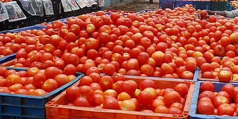 கோயம்பேடு சந்தை: பெட்ரோல், டீசல் விலை குறைவால் சரிந்தது தக்காளி விலை! இன்றைய நிலவரம் என்ன?