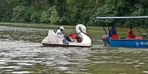 ஊட்டி: படகுசவாரிகளில் ஆர்வம் காட்டும் சுற்றுலாப் பயணிகள்