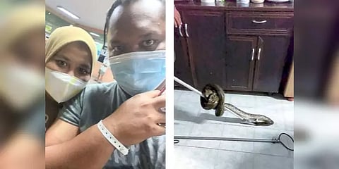 கழிவறையில் வீடியோ கேம் விளையாடும்போது கடித்த மலைப்பாம்பு! மலேசியாவில் அதிர்ச்சி சம்பவம்!