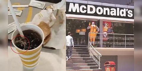 மெக்டொனால்டு குளிர்பானத்தில் இறந்து மிதந்த பல்லி! அதிர்ந்துபோன வாடிக்கையாளர்!