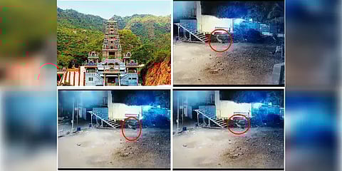 உறுதியான சிறுத்தை நடமாட்டம்.. மருதமலை முருகன் கோவில் நிர்வாகம் எடுத்த திடீர் முடிவு!