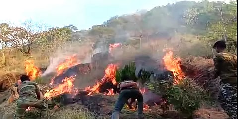 தென்காசி: மேற்குத் தொடர்ச்சி மலையில் 2 நாட்களாக கொழுந்துவிட்டு எரிந்த காட்டுத் தீ
