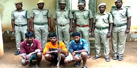கள்ளக்குறிச்சி: மயில்களை வேட்டையாடியதாக 3 இளைஞர்கள் கைது