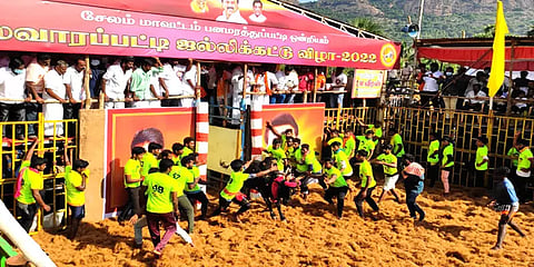 பாயும் காளைகள் பந்தாடும் காளையர் - இது நிலவாரப்பட்டி ஜல்லிக்கட்டு