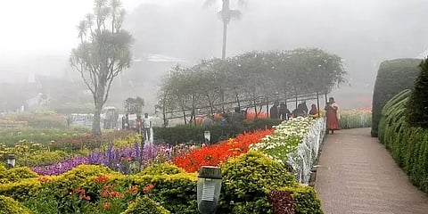 தமிழக சுற்றுலாப் பகுதிகளில் பனிமூட்டத்துடன் கூடிய மிதமான மழை