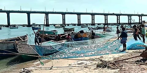 ராமநாதபுரம்: கலர் மீன்கள் வரத்து அதிகரித்தும் விலை குறைவால் மீனவர்கள் கவலை